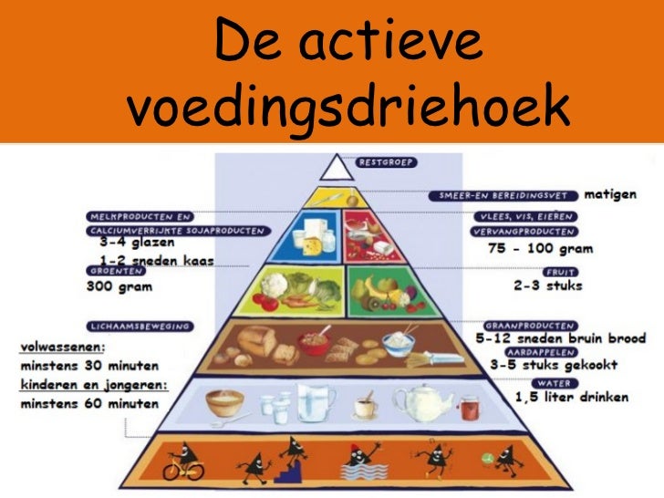 actieve voedingsdriehoek actieve voedingsdriehoek